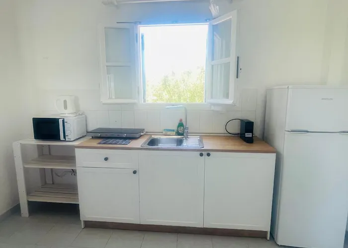 Niriides Studios باروس